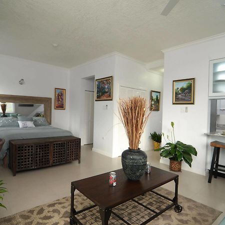 Kingsway New Kingston Guest Apartment II Esterno foto